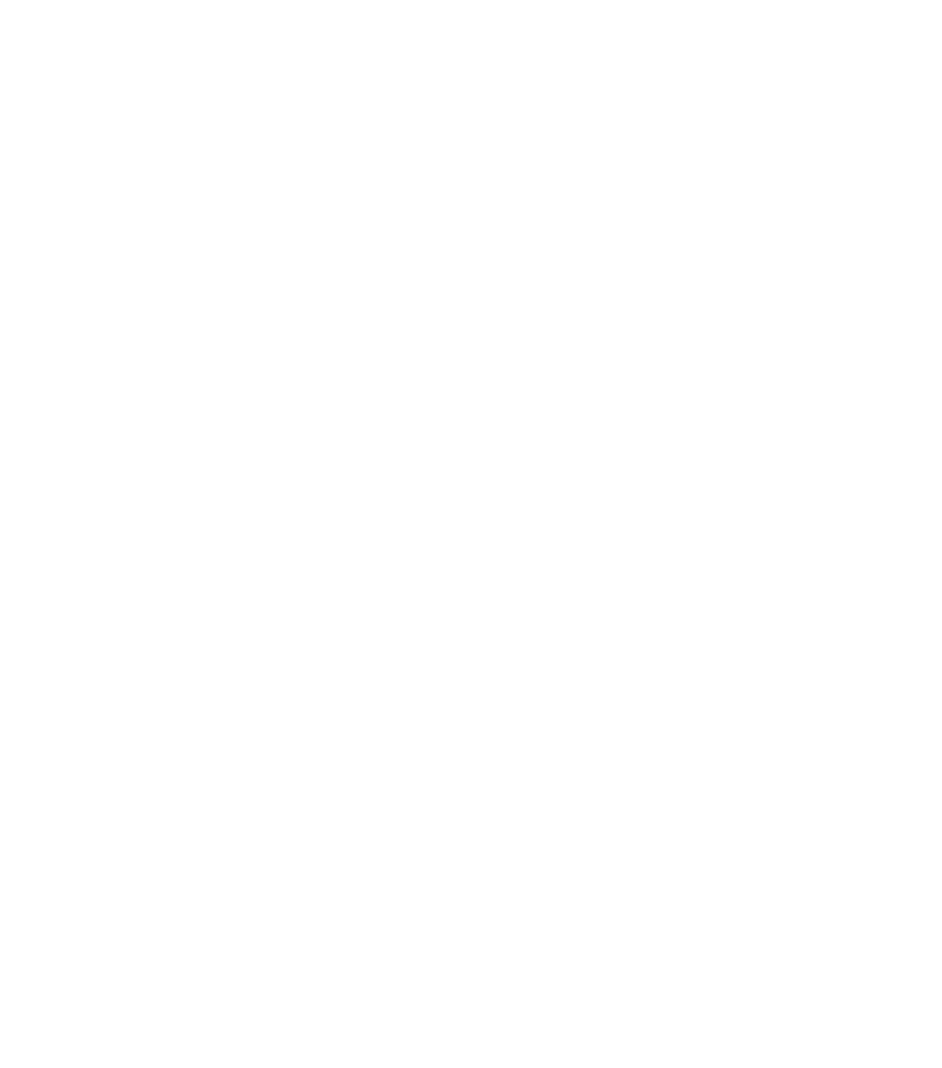 Chamedics
